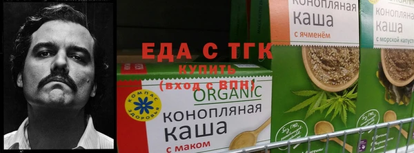 тгк Армянск