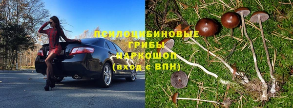 тгк Армянск