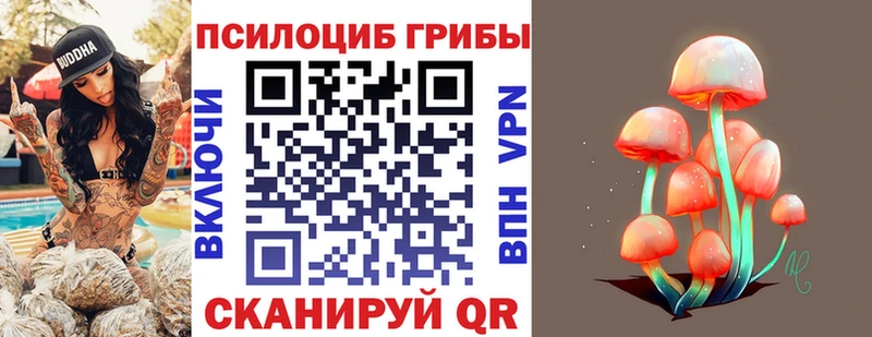 где купить наркоту Белокуриха KRAKEN зеркало маркетплейс как зайти Псилоцибиновые грибы Psilocybine cubensis