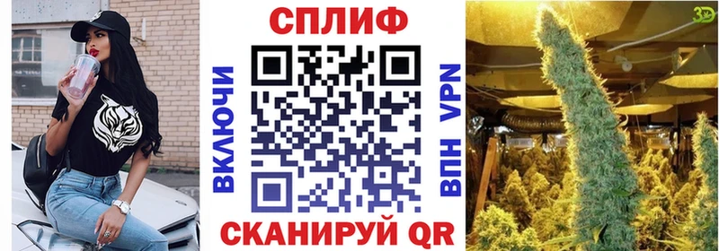 Бошки Шишки тримм  Белокуриха 